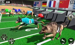 Cách Chơi Game Nhanh Đua Chó Tại Vin777 Thú Vị Và Hấp Dẫn