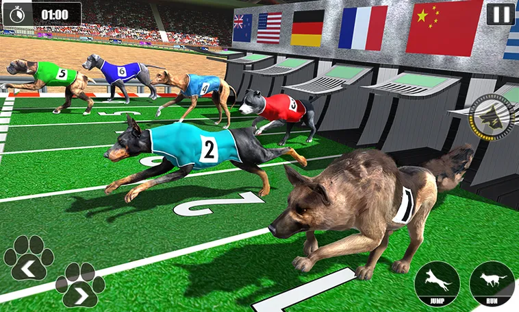 Cách Chơi Game Nhanh Đua Chó Tại Vin777 Thú Vị Và Hấp Dẫn