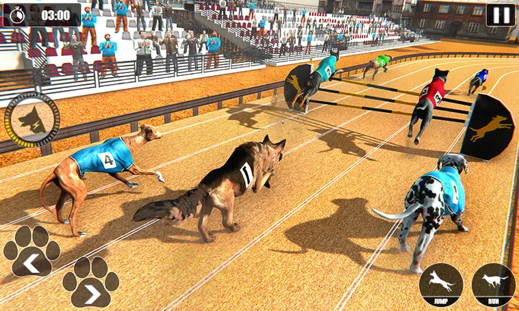 Cách Chơi Game Nhanh Đua Chó Tại Vin777 Thú Vị Và Hấp Dẫn