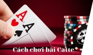 Cách Chơi Sắc Tê Nhà Cái Vin777 Hấp Dẫn Và Dễ Thắng Nhất