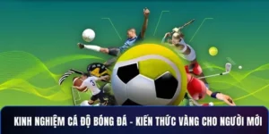 Tìm Hiểu Cá Cược Bóng Đá Vin777 Trải Nghiệm Sôi Động Hấp Dẫn Cho Mọi Cược Thủ